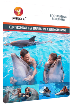 Сертификат на плавание с дельфинами