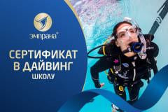 Подарочный сертификат в дайвинг школу